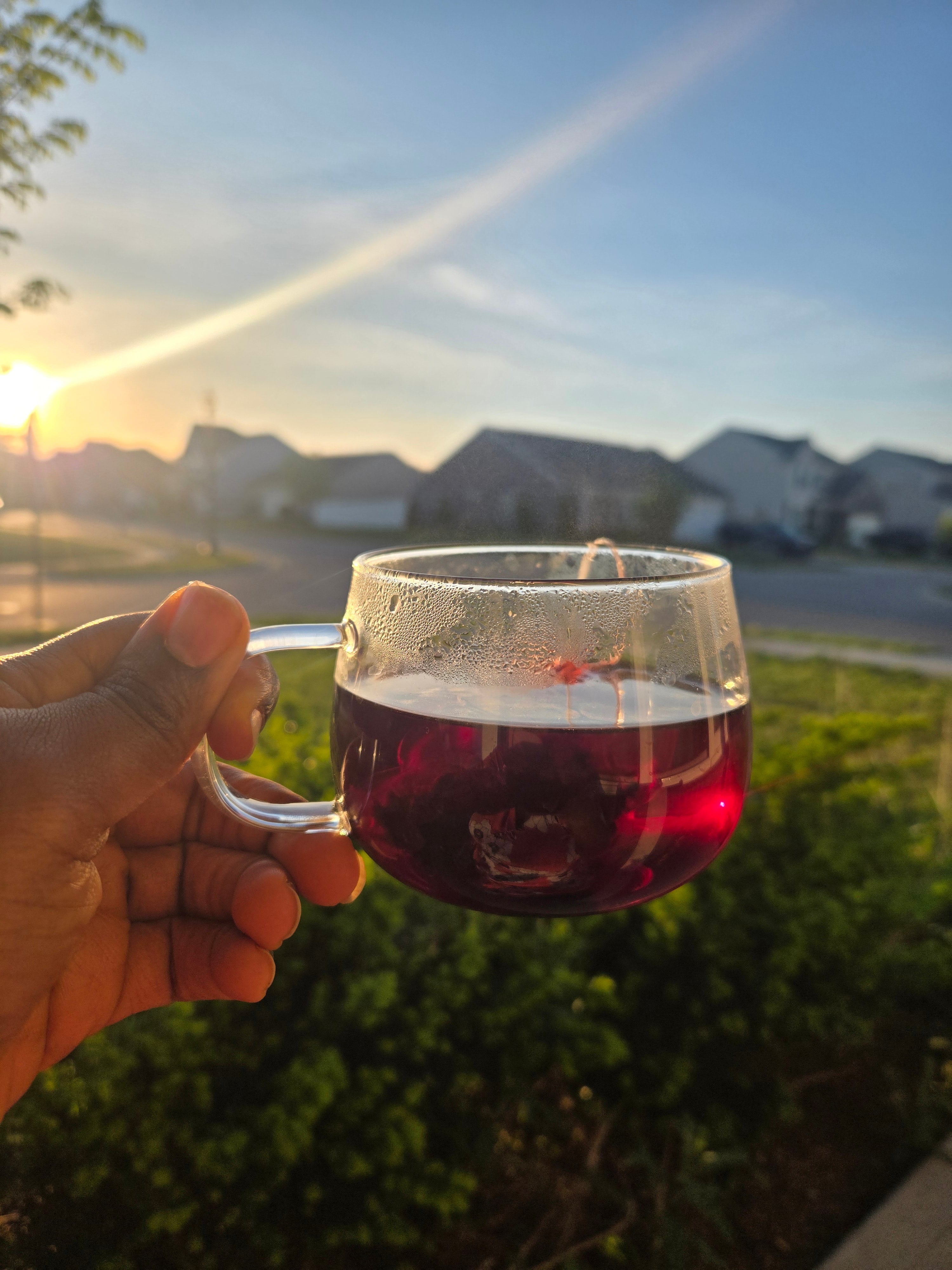Hibiscus Glow - Glow from Within Organic Herbal tea