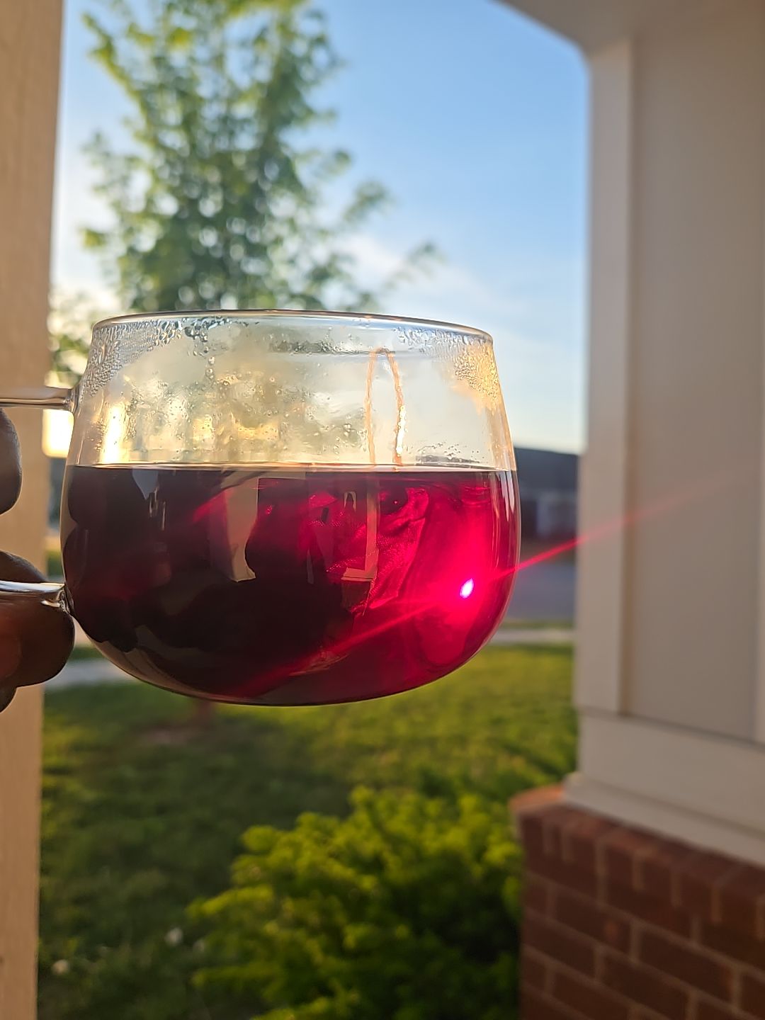 Hibiscus Glow - Glow from Within Organic Herbal tea